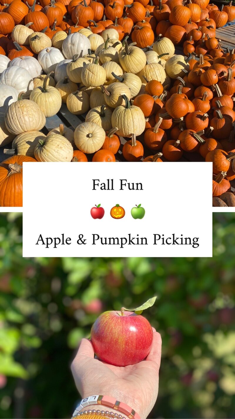 Fall Fun: Apple & Pumpkin Picking at Boston Hill Farm