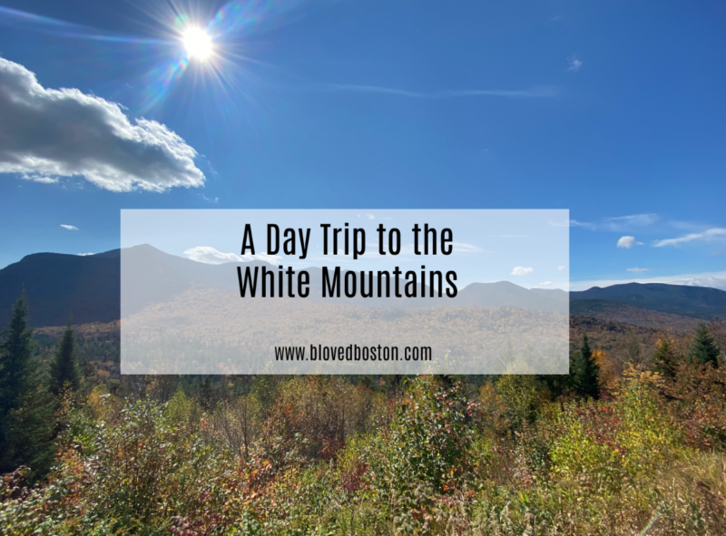 A Day Trip to the White Mountains