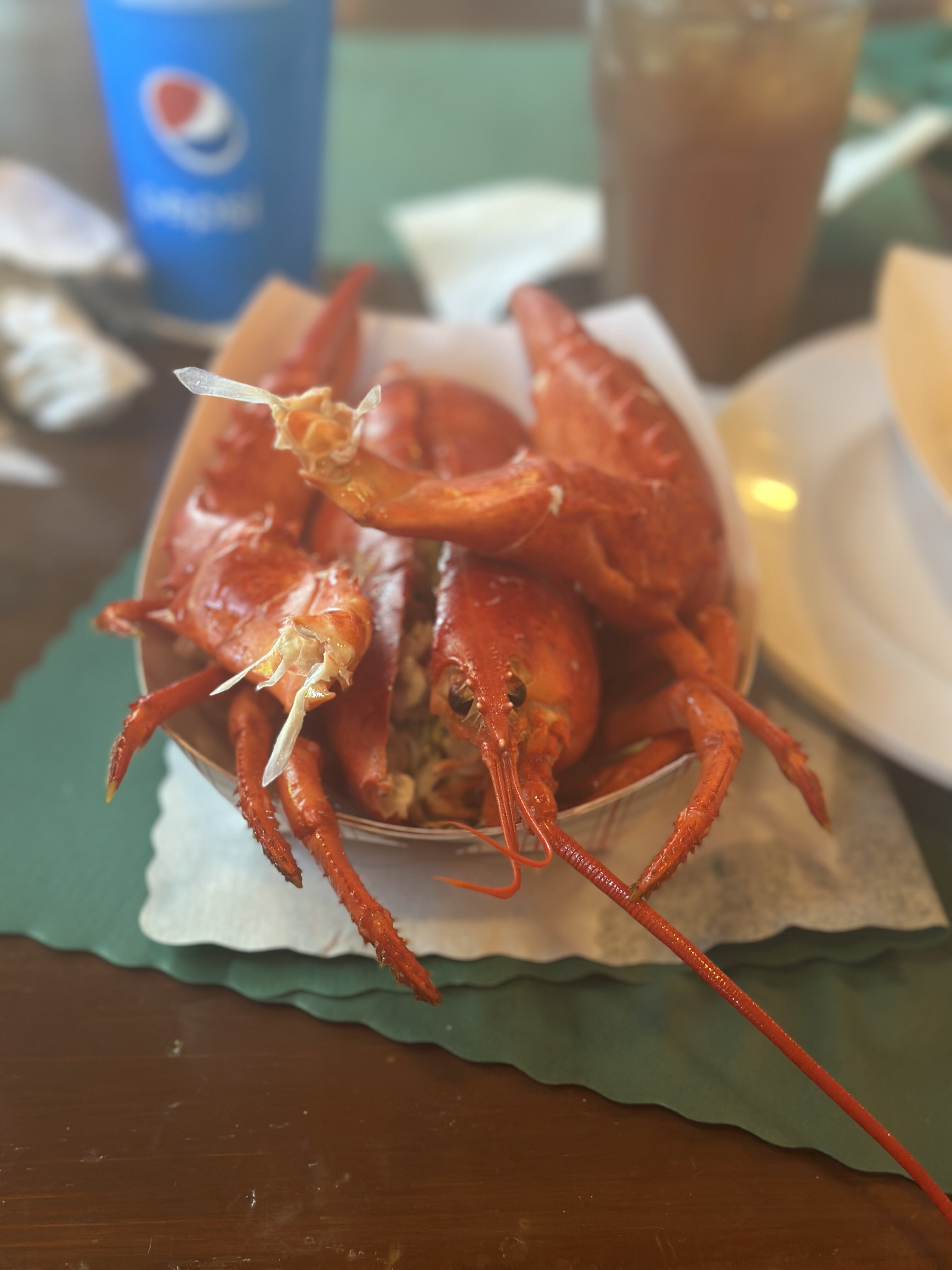 Where to eat lobster in Maine, Lobster Pound